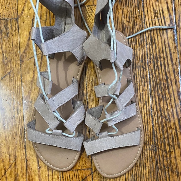 Charlotte Russe Taupe Lace-Up Sandals - Picture 1 of 5